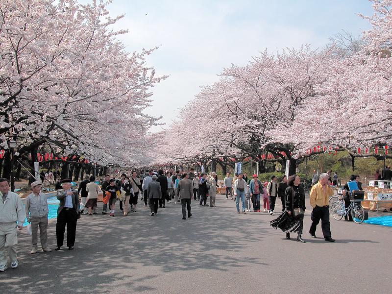 Mervielle Ueno Präfektur Tokio Exterior foto